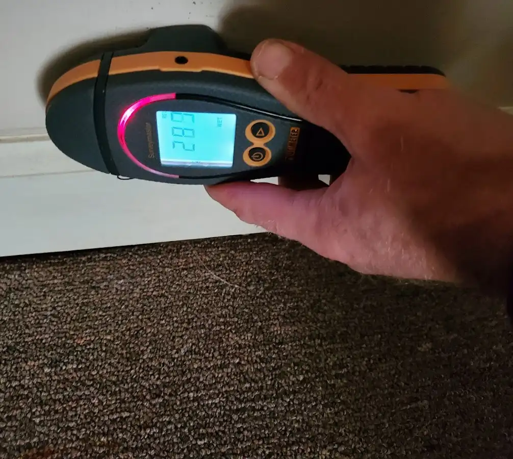 Moisture detection at baseboard during Sewage Cleanup & Sanitation in Byram